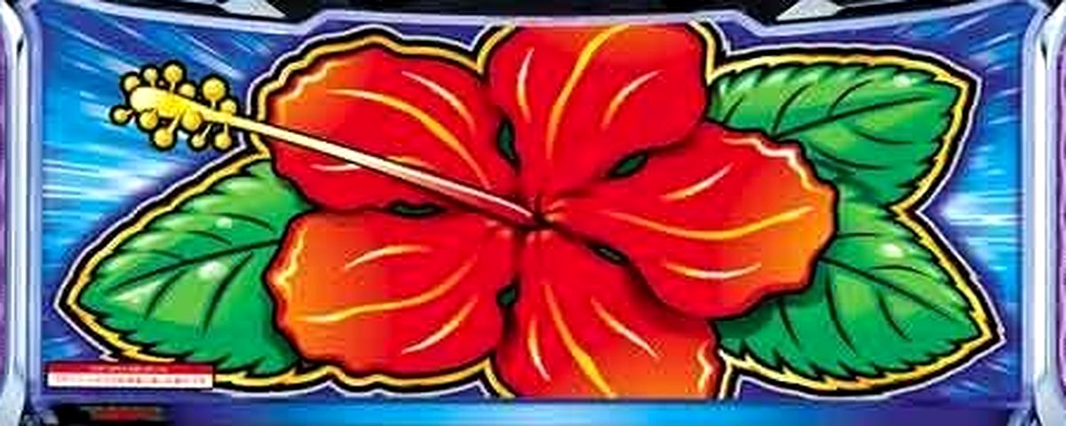 ハイビリターン‐30