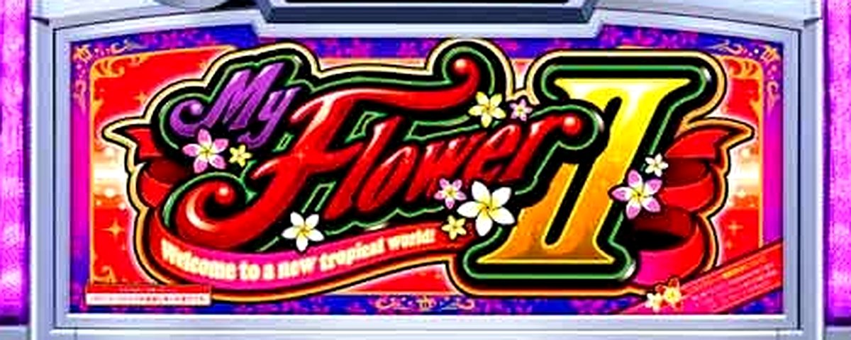 マイフラワー2-30