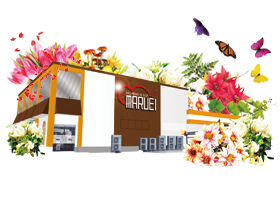 マルエイ串良店の外観