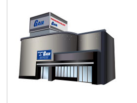 ガイア大島店