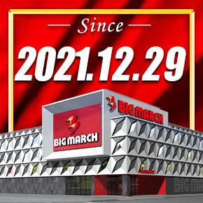 ビックマーチ東習志野店