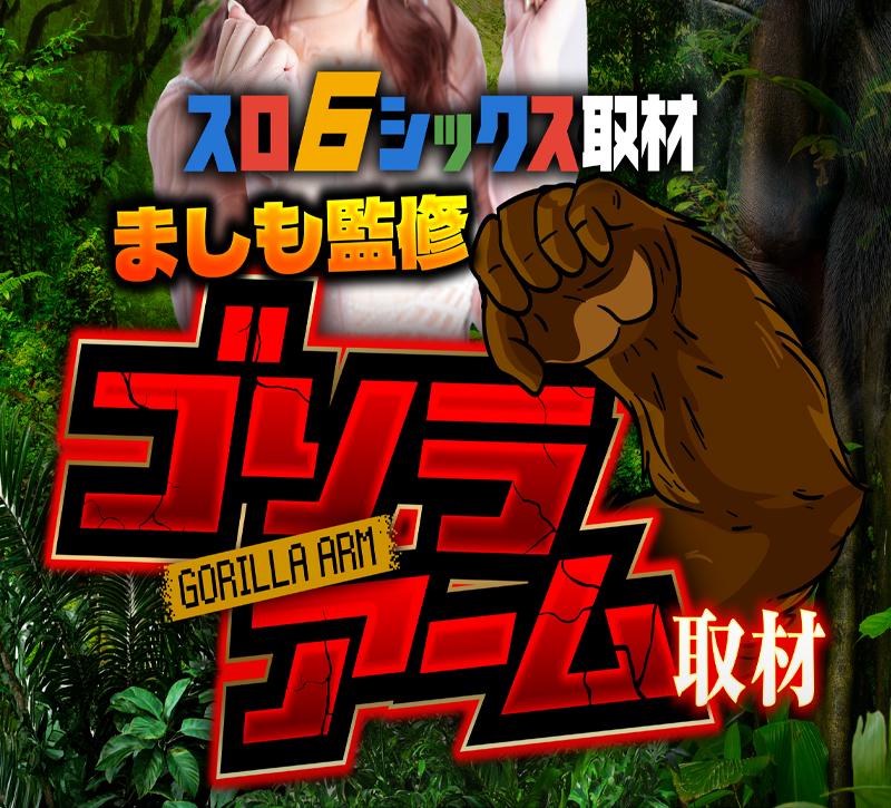 ゴリラアーム取材 公式画像